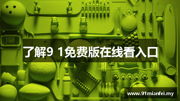 了解9 1免费版在线看入口